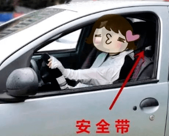 后排不系安全带也要处罚？ 你怎么看